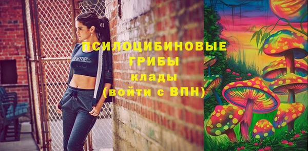 шишки Белокуриха