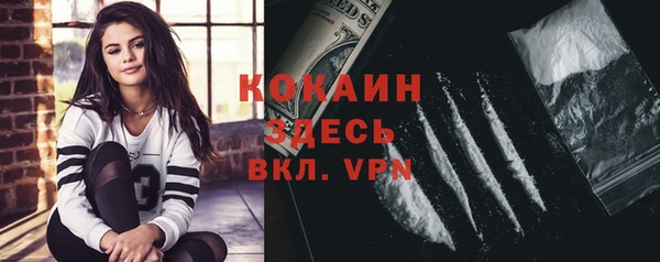 шишки Белокуриха