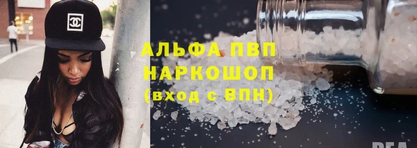 шишки Белокуриха