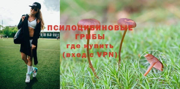 шишки Белокуриха
