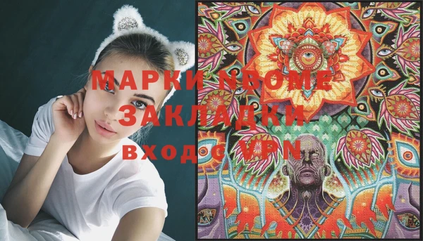 шишки Белокуриха