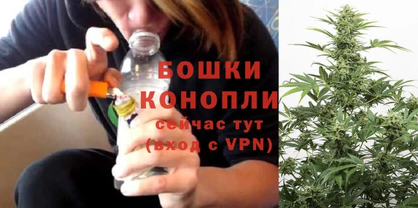 шишки Белокуриха