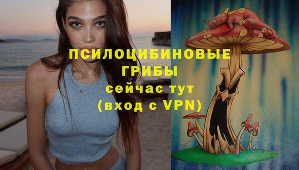 стафф Белоозёрский