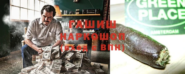 шишки Белокуриха