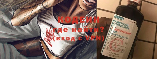 шишки Белокуриха