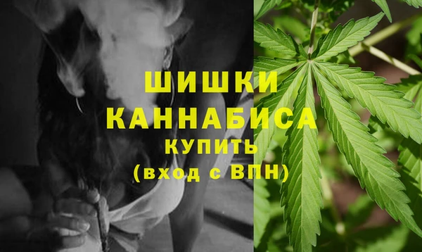 шишки Белокуриха