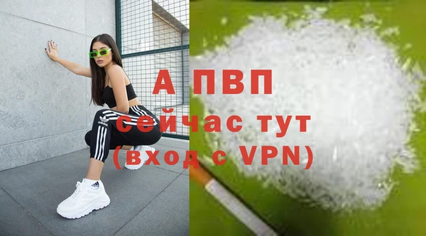 шишки Белокуриха