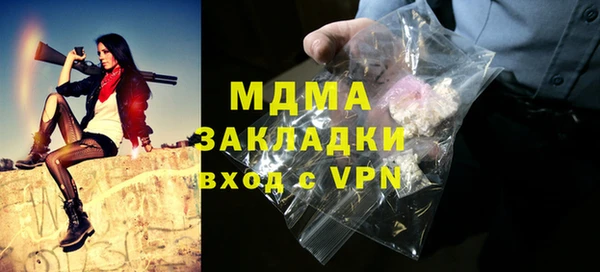 шишки Белокуриха