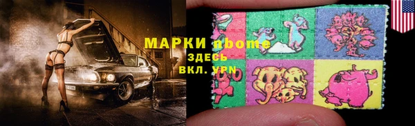 шишки Белокуриха