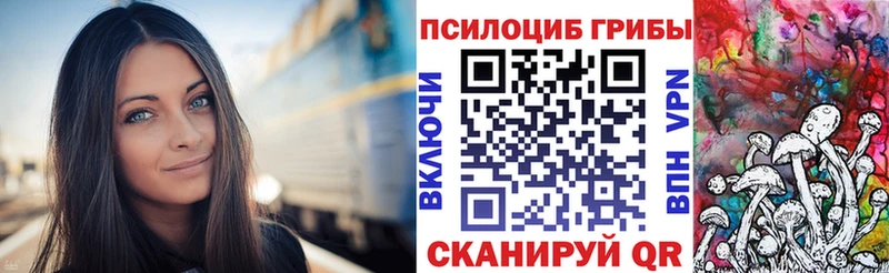 наркошоп  Торжок  Псилоцибиновые грибы Psilocybe 